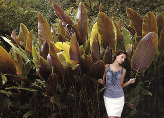 Illustration for article titled March Anthropologie: A Lush, Tropical Dream With Nightmarish Shoes